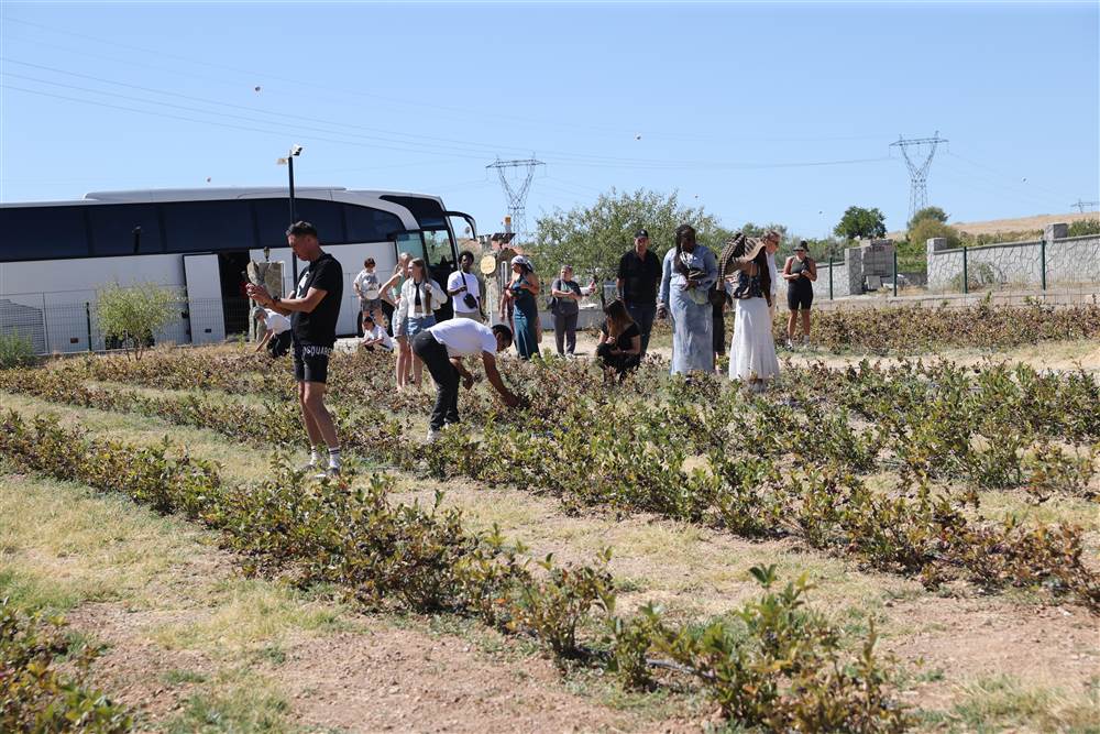 Kapadokya'yı gezen turistler Avanos'ta aronya hasadına katıldı