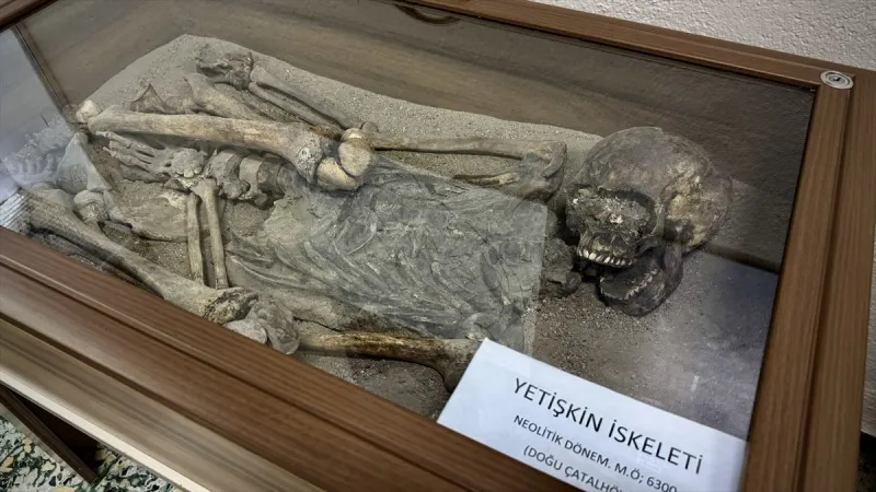 Çatalhöyük’den “Saklı Mirası” Sergisi: İlk kez görüntülenecek obsidyen gözlü baş, mermer topuz ve çift yüzlü kap