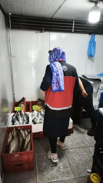 Beyşehir Gölü'nde Sürdürülebilir Balıkçılık İçin Denetimler Artıyor
