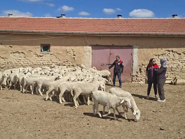 Konya'da Kırsalda Bereket Projesi Kapsamında İlk Hayvan Teslimatı Gerçekleşti