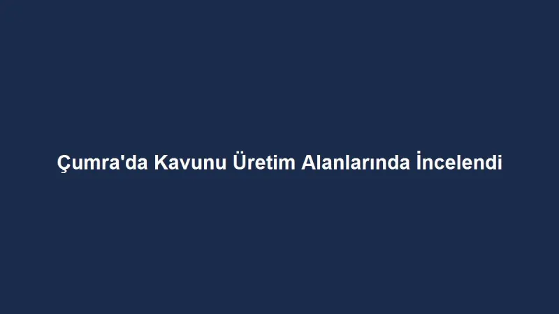 Çumra'da Kavunu Üretim Alanlarında İncelendi