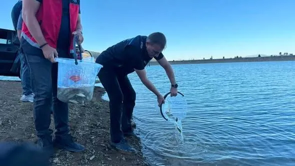 Gökçehüyük ve Taraşçı göletleri yavru balıklarla buluşturuldu