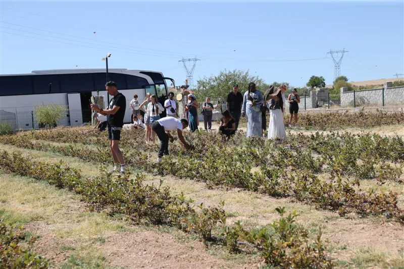 Kapadokya'yı gezen turistler Avanos'ta aronya hasadına katıldı