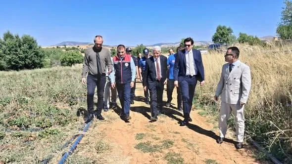 Türkiye'nin Çilek Üssü Hüyükte Hasat Sezonu Tüm Hızıyla Devam Ediyor