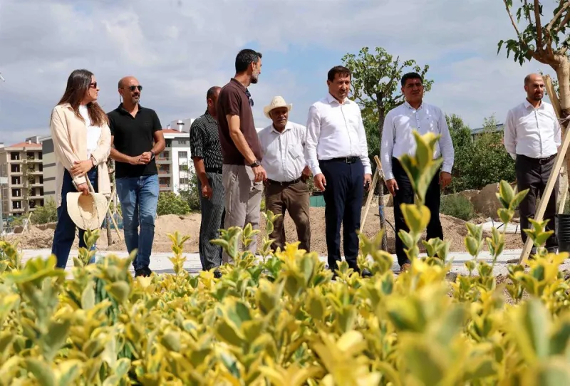 Konya'da  50 Bin Metrekarelik Yeni Park ve Yeşil Alan Çalışması Sürüyor