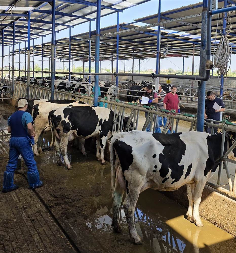 Çumra’da Hayvan Sağlığı Denetimleri Sürüyor