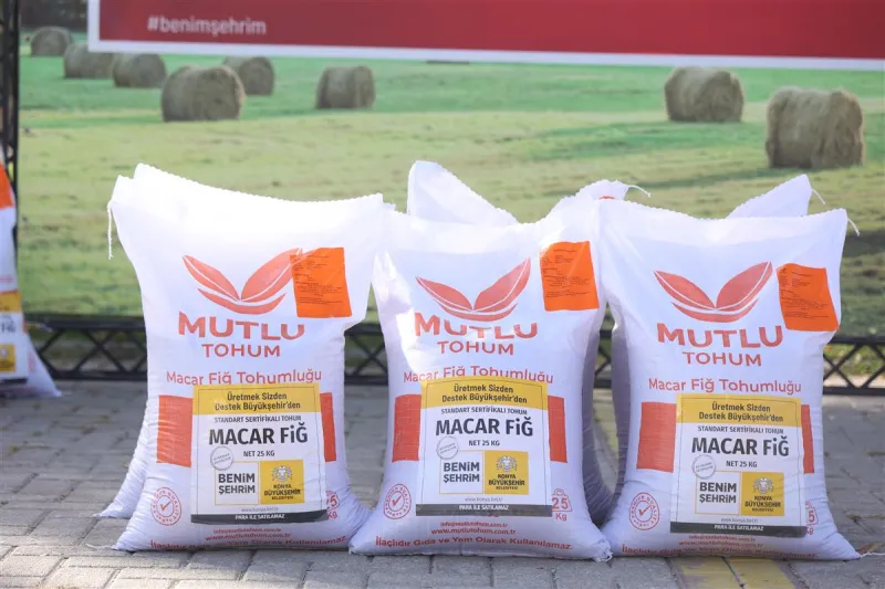 Konya Büyükşehir’den Üreticilere Yüzde 75 Hibeli Macar Fiği Desteği