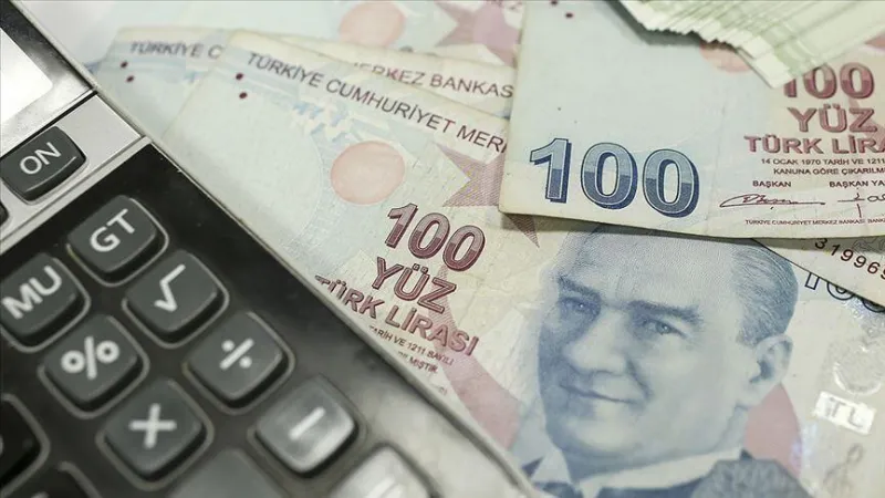 Bakanlık açıkladı! Hibe desteğine başvuru için son gün 22 Ocak