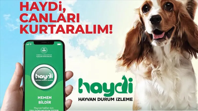 “HAYDİ” UYGULAMASI  İLE CAN DOSTLARI GÜVENDE