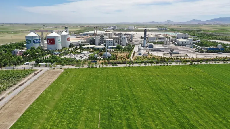 KONYA ŞEKER, PANCAR TABAN FİYATINDA ARTIŞA GİTTİ