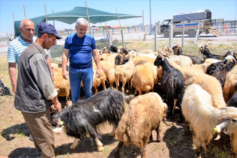 MERAM BELEDİYESİ KURBAN BAYRAMINA HAZIR