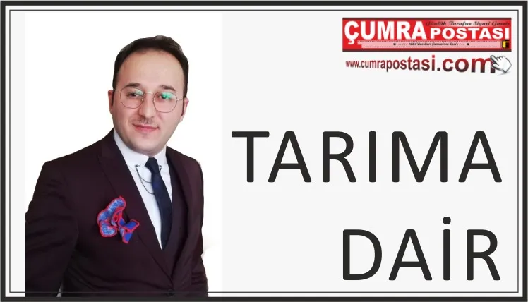 Fındık!