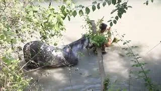 Dereye düşen atı itfaiye ekipleri kurtardı