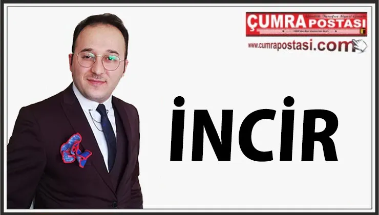 İNCİR
