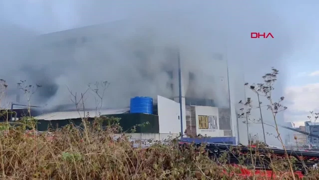 Arnavutköy'deki Cam Fabrikasında Yangın Çıktı