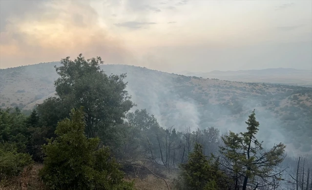 Afyonkarahisar İhsaniye'de Orman Yangını - Son Dakika