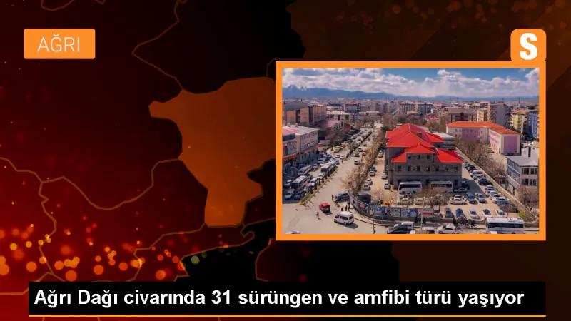 Ağrı Dağı'nda 31 Sürüngen ve Amfibi Türü Yaşıyor