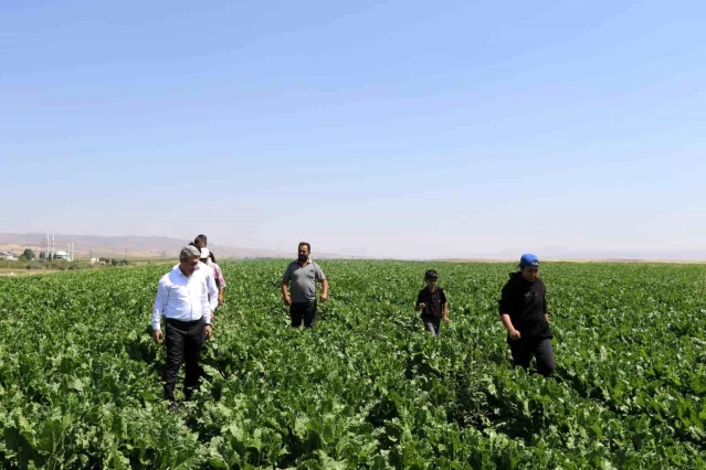 Ağrı İl Tarım ve Orman Müdürü, çiftçileri ve veteriner hekimleri ziyaret etti