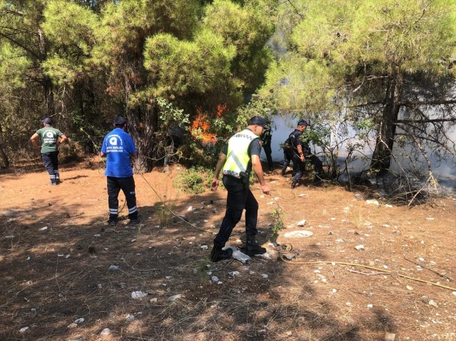 Akseki'de orman yangını kontrol altına alındı