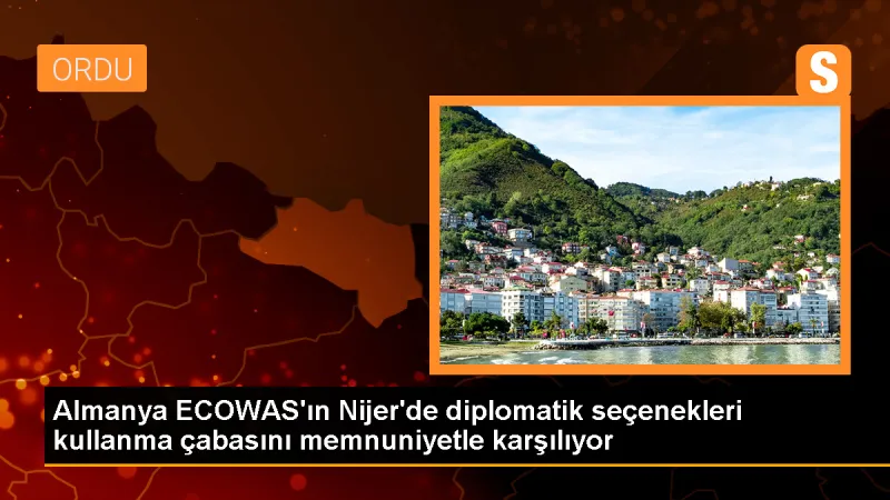 Almanya, Nijer'deki ECOWAS çabalarını memnuniyetle karşılıyor