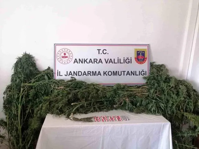 Ankara Sincan'da Hobi Bahçelerinde Uyuşturucu Operasyonu