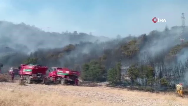 Antalya Kaş'ta orman yangını kontrol altına alındı