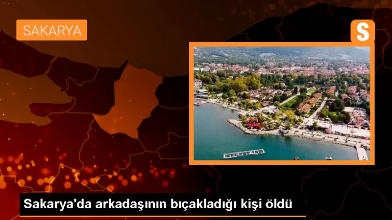Arifiye'de Arkadaşının Bıçaklı Saldırısı Sonucu Ölüm
