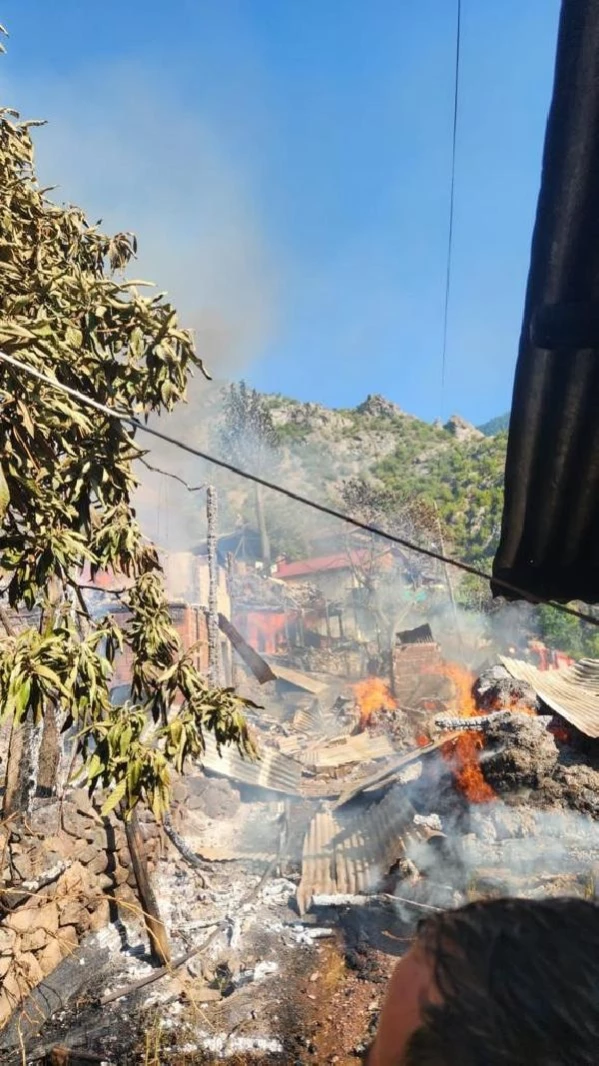 Artvin'de çıkan yangında 5 ev ve 2 ahır kullanılamaz hale geldi