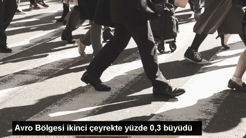 Avro Bölgesi Ekonomisi İkinci Çeyrekte Yüzde 0,3 Büyüdü