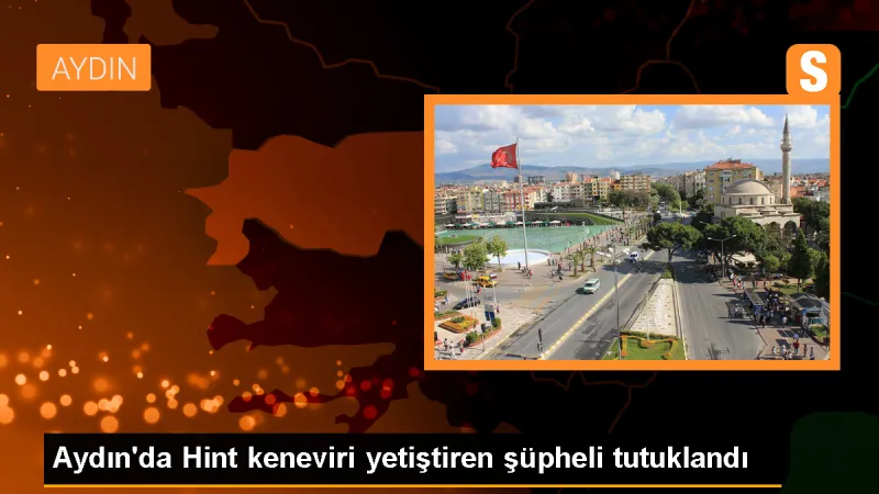 Aydın'da Hint keneviri yetiştiricisi tutuklandı