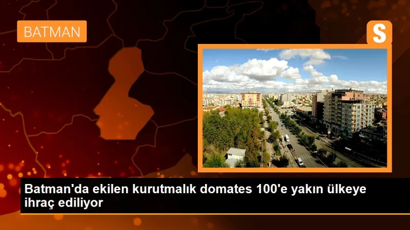 Batman'da ekilen kurutmalık domates 100'e yakın ülkeye ihraç ediliyor