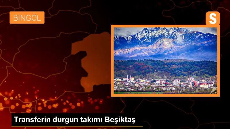 Beşiktaş Transfer Dönemini Durgun Geçiriyor