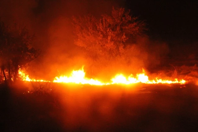 Beyşehir'de çıkan yangın anız yangını çıktı