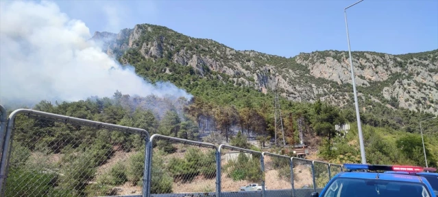 Bilecik'te çıkan orman yangını kontrol altına alınmaya çalışılıyor
