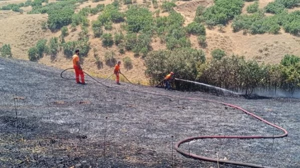 Bingöl'de Ormanda Çıkan Yangın Kontrol Altına Alındı