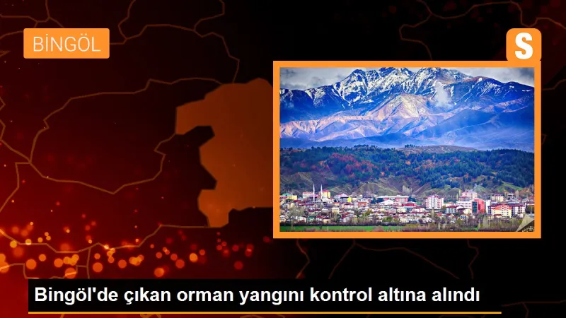 Bingöl'de çıkan orman yangını kontrol altına alındı