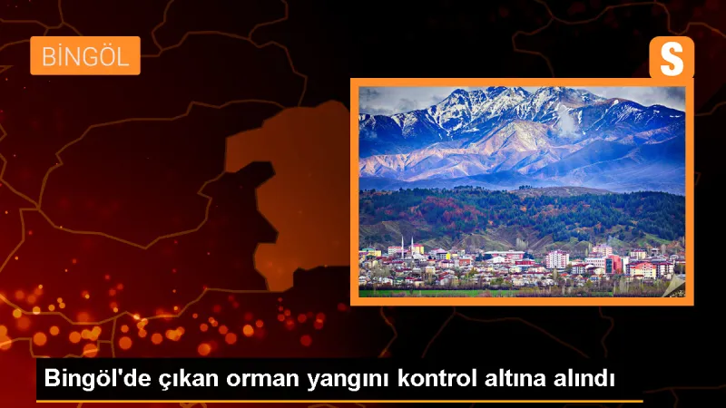 Bingöl'ün Genç ilçesinde çıkan yangın kontrol altına alındı