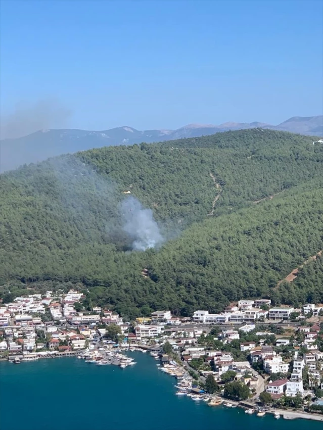 Bodrum'da Orman Yangını Kontrol Altına Alındı