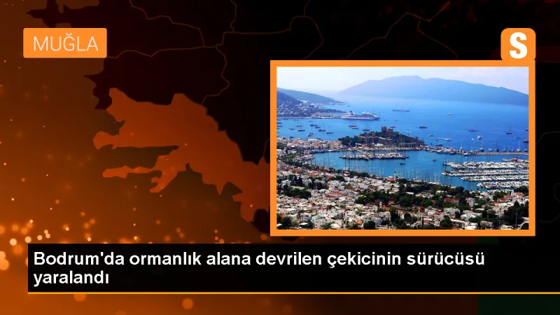 Bodrum'da ormanlık alana devrilen çekicinin sürücüsü yaralandı