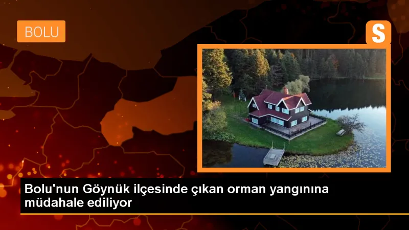 Bolu Göynük'te Orman Yangını - Son Dakika