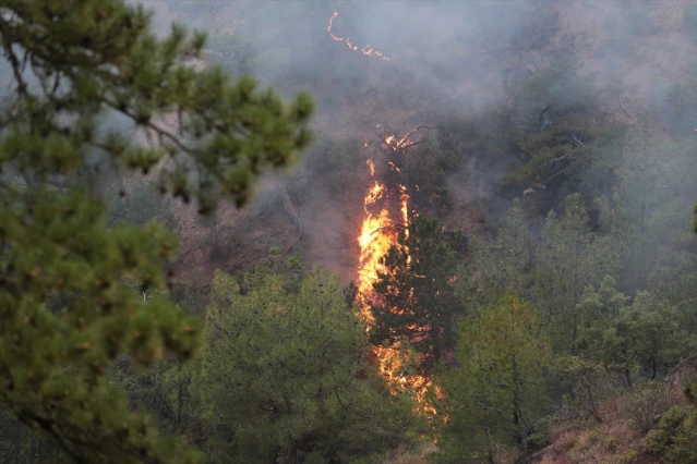 Bolu Göynük'te orman yangınına havadan müdahaleye ara verildi