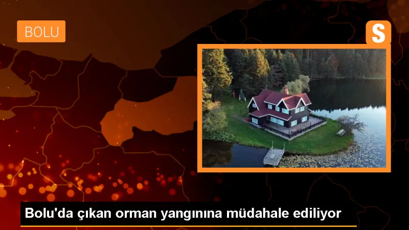Bolu Mudurnu'da Orman Yangınına Müdahale Ediliyor