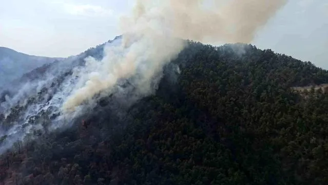 Bolu'da iki ayrı bölgede orman yangını çıktı