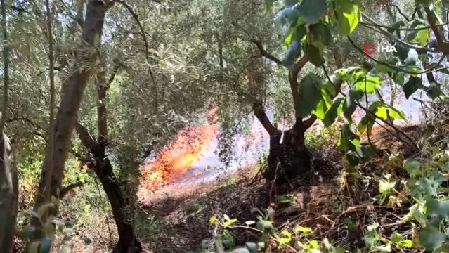 Bursa'da 4 noktada aynı anda yangın