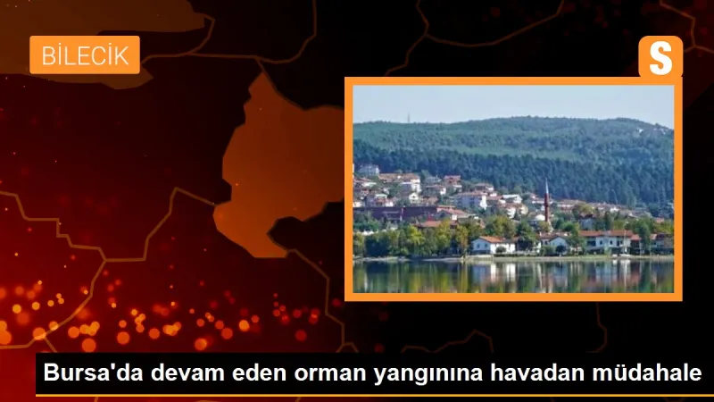 Bursa'da devam eden orman yangınına havadan müdahale