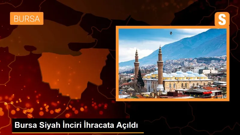 Bursa'nın siyah incisi Buckingham Sarayı'nın sofralarını süslüyor