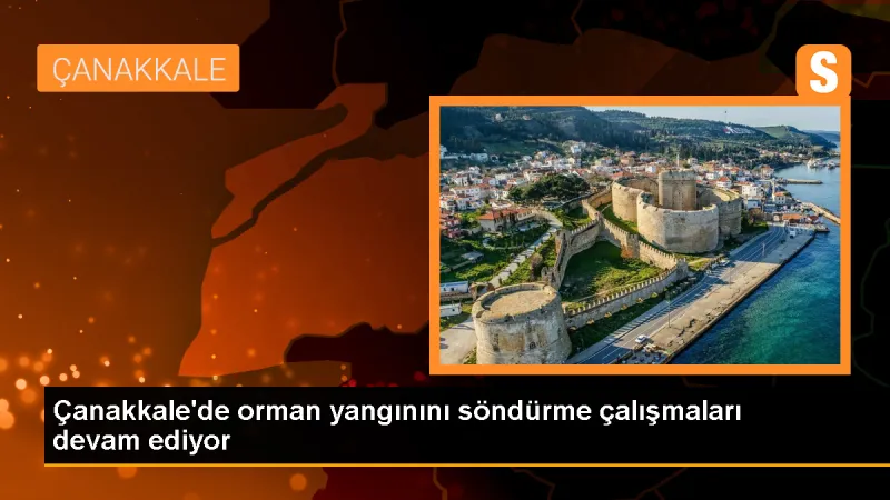 Çanakkale'de rüzgarın etkisiyle yayılan yangına müdahale sürüyor