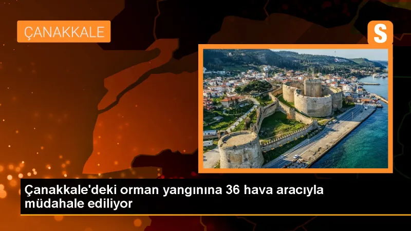 Çanakkale'deki Orman Yangınına AFAD Müdahale Ediyor