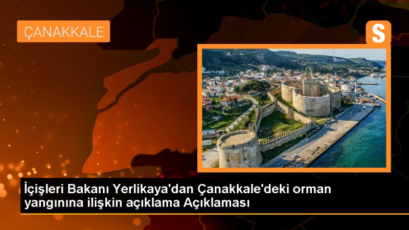 Çanakkale'deki Orman Yangınında 97 Kişi Dumandan Etkilendi