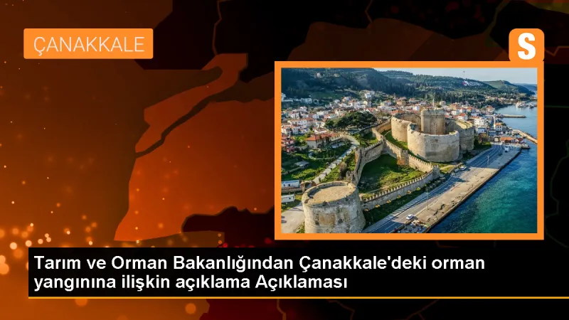 Çanakkale'deki Yangında 1500 Hektarlık Alan Zarar Gördü